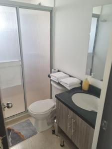 a bathroom with a toilet and a sink at Apartamento Norte de Armenia in Armenia