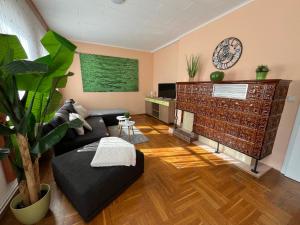 a living room with a couch and a fireplace at Ferienhaus in zentraler Lage zwischen Goitzsche und Wörlitz in Steinfurth