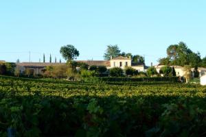 un champ de cultures avec une maison en arrière-plan dans l'établissement Château La Tuilière Villa with pool and it's own wineyard, à Saint-Ciers-de-Canesse