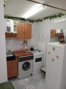 Il comprend une petite cuisine équipée d'une cuisinière et d'un réfrigérateur. dans l'établissement Lupinos 2, à Ushuaia