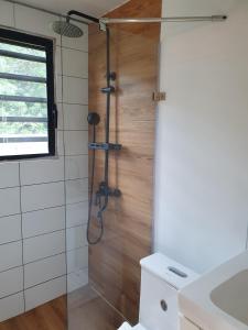 a bathroom with a shower with a glass door at Les Maripas Studio 2 in Rémiré