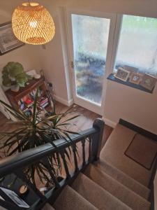 a staircase with a potted plant in a living room at Majestic! Beautiful home in a posh neighbourhood in Liverpool