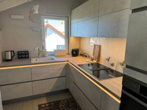 a kitchen with stainless steel appliances and a large window at Spacy 3 Bedroom plus Sleeping couch Apartment Work&Travel close to Heidelberg in Dielheim +8 photos