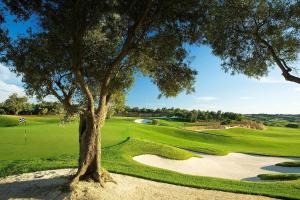 un árbol en un campo de golf con un verde en Retiro dos sonhos, en Porches