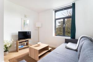 ein Wohnzimmer mit einem Sofa und einem TV in der Unterkunft Lille - Bel Appartement Cosy et Lumineux in Lille