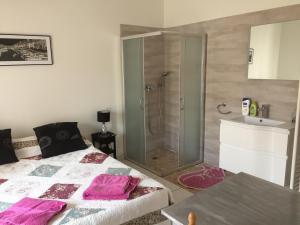 een slaapkamer met een douche, een bed en een wastafel bij Deux chambres dans villa proche de la plage in Sète