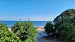 a group of trees on a beach near the water at PINAR OTEL in Amasra +13 photos