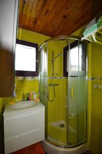 a bathroom with a glass shower and a sink at Résidence L'edelweiss-planay - Studio pour 4 Personnes 84 in Notre-Dame-de-Bellecombe