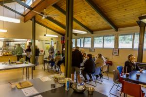 Gallery image of Christmas Creek Café & Cabins in Lamington