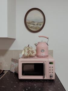a pink microwave with a tea pot on top of it at Whimsical Land in London
