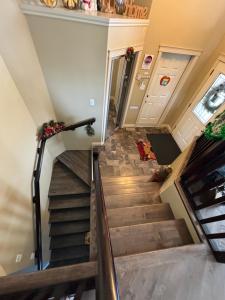里賈納的住宿－Happy House - Regina City，房屋内楼梯的景色
