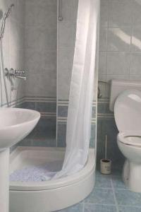 een badkamer met een douche, een toilet en een wastafel bij Apartments with a parking space Slunj, Plitvice - 22111 in Slunj