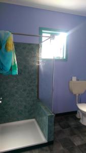 a bathroom with a shower with a toilet and purple walls at Anglesea Backpackers in Anglesea