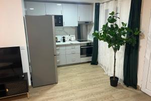 eine Küche mit einem Kühlschrank und einer Topfpflanze in der Unterkunft Bondy15 Gare Paris Disney in Bondy