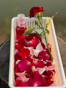 una bandeja llena de flores rojas y una botella de salsa en ม่วนใจ๋ปันสุข โฮมสเตย์แอนคาเฟ่ Muanjai punsuk homestay and cafe, 