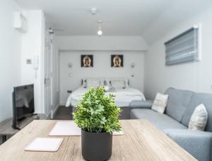 uma sala de estar com uma mesa com uma planta em Aylesbury Studio-6 with parking em Buckinghamshire