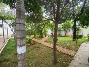 un grupo de árboles en un parque con una acera en Sejour D Confort (Bamboo Stays) en Pondicherry