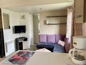 a living room with a purple couch and a tv at Mobilhome Ck171 Siblu Les Charmettes in Les Mathes