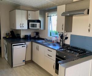 a small kitchen with a stove and a microwave at Mobile home Cc780 Siblu Les Charmettes close to the sea in Les Mathes