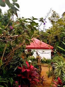 a house with a red roof and some plants at The Jungle Life Homestay Thangamalay Sanctuary Haputale by Gisela Sivam in Haputale