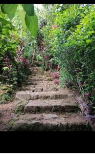 a stone path in a garden with flowers and plants at The Jungle Life Homestay Thangamalay Sanctuary Haputale by Gisela Sivam in Haputale