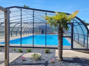a palm tree in a greenhouse with a swimming pool at Chalet confort 3 chambres, piscine chauffée, entre mer et nature près du Golfe du Morbihan - FR-1-783-3 in Marzan