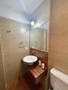 ein Badezimmer mit Waschbecken und Spiegel in der Unterkunft Terrazas del Sur in San Carlos de Bariloche