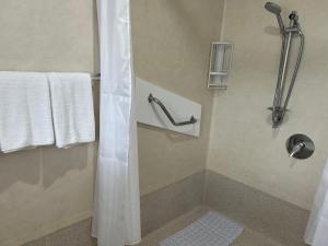 a bathroom with a shower with a shower curtain at Magnolia Court Motel in Opotiki