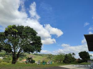 un árbol en un campo con un cielo azul en Apartamentos - Brisas del Mirador - Panamá Campestre 