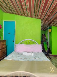 1 dormitorio con 1 cama con pared verde en A. Zaragosa Lodging House, en San Vicente