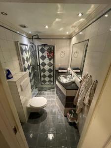 A bathroom at Narvik centum