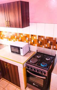 a kitchen with a stove and a microwave on a counter at S & A APARTMENTS in Thika