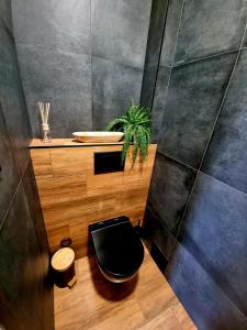 a bathroom with a black toilet and a plant at Ubytování u Parku in Lednice