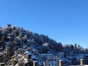 a town on a hill with snow covered trees at El Cielo, B&B in Shimla