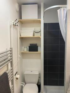 La salle de bains est pourvue de toilettes et d'un mur en carrelage noir. dans l'établissement Studio fonctionnel quartier faculté St Jérôme, à Marseille
