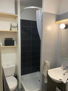 La salle de bains est pourvue d'une douche, de toilettes et d'un lavabo. dans l'établissement Studio fonctionnel quartier faculté St Jérôme, à Marseille