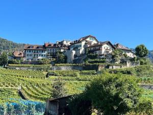 a village on a hill with houses and vineyards at La Vigneronne, Garden in Blonay