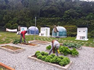 two people working in a garden with domes at The Starry Dome in Cameron Highlands