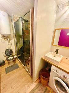 Koupelna v ubytování Appartement T2 La Saline Les Bains + 4 fotografie
