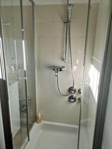 baño con ducha y puerta de cristal en Ferienwohnung Villa Portugal, en Leinsweiler
