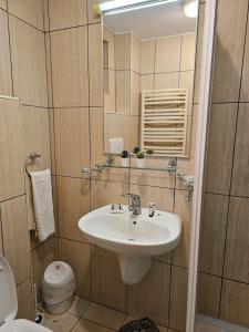 een badkamer met een wastafel, een toilet en een spiegel bij VILA GALBENA - Poiana Brasov in Poiana Brasov