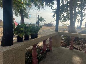 une rangée de plantes en pot assises sur un grand livre dans l'établissement Sunset Serenity Cove (11), à Ko Pha Ngan