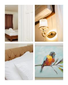 uma colagem de imagens com um pássaro num galho em BELLADAMA HOTEL em San Carlos