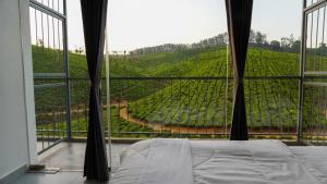 - une chambre avec une grande fenêtre donnant sur un vignoble dans l'établissement Zen Vista, à Valparai