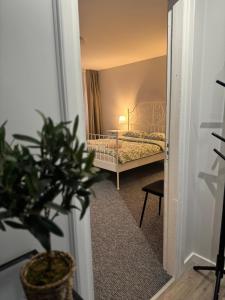 a bedroom with a bed and a potted plant at ROTUŠĖS g 23 APARTMENTS IN THE CITY CENTER BIRŽAI in Biržai