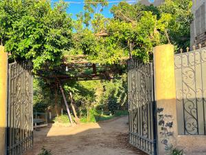 - un accès à un jardin avec une porte en fer dans l'établissement River view, à Jazīrat al ‘Awwāmīyah