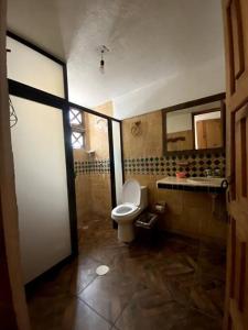 ein Bad mit einem WC und einem Waschbecken in der Unterkunft Cabaña de las esferas en Mazamitla in Mazamitla