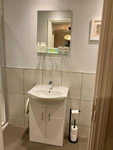 a bathroom with a white sink and a mirror at The Sapling in Delabole