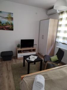 sala de estar con sofá, TV y mesa en V & V Studio Apartments, en Niš