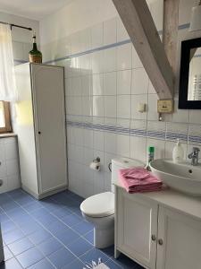 Willa Hermanówka tesisinde bir banyo